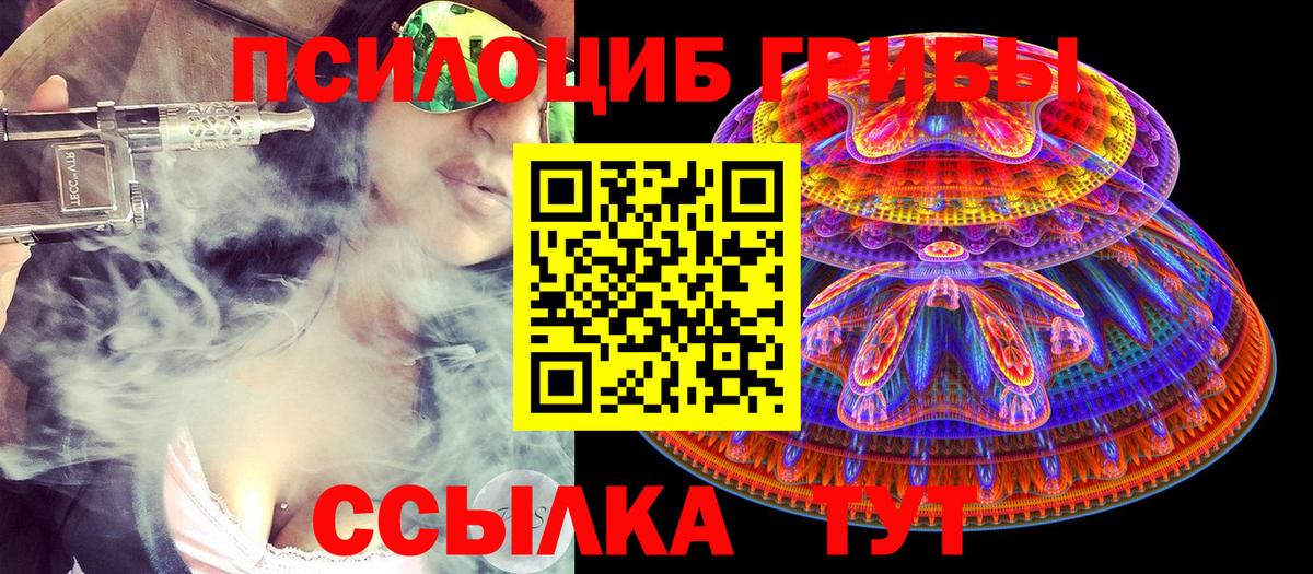 Галлюциногенные грибы GOLDEN TEACHER  купить наркотики цена  Кувандык  Вход с VPN 