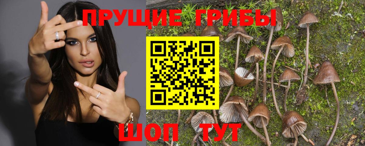 Меф МЯУ МЯУ кристаллы  КОКАИН  Канабис  Вход с VPN  Кувандык  Гашиш 